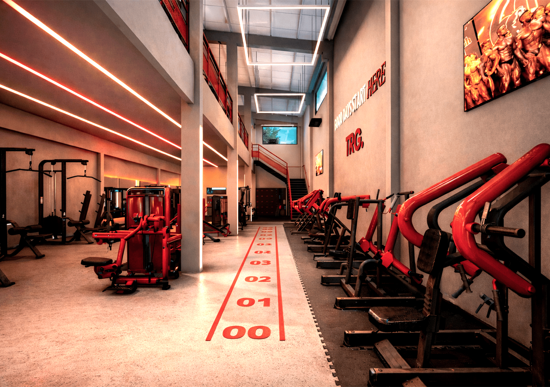 Área de musculação