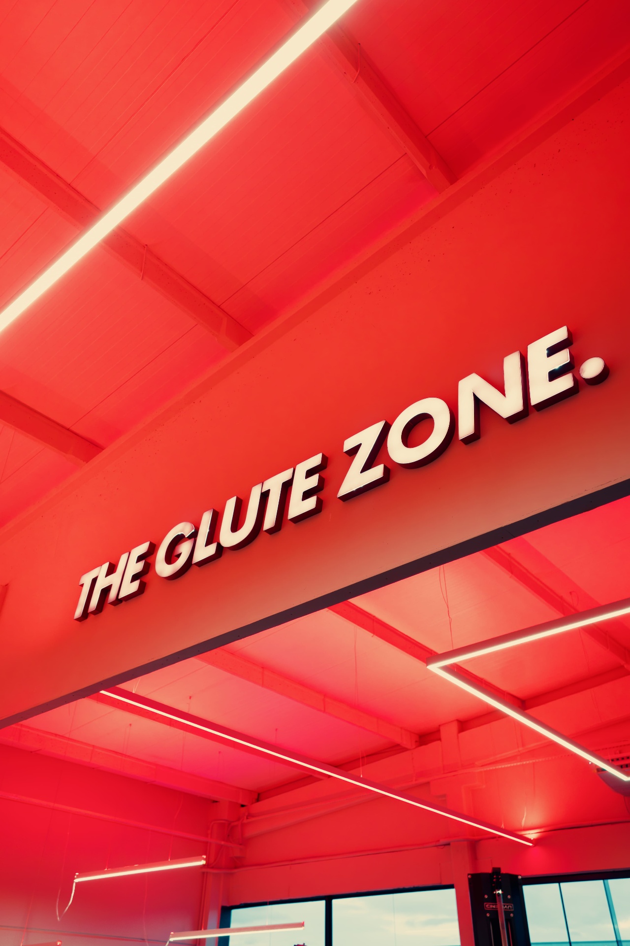 The Glute Zone